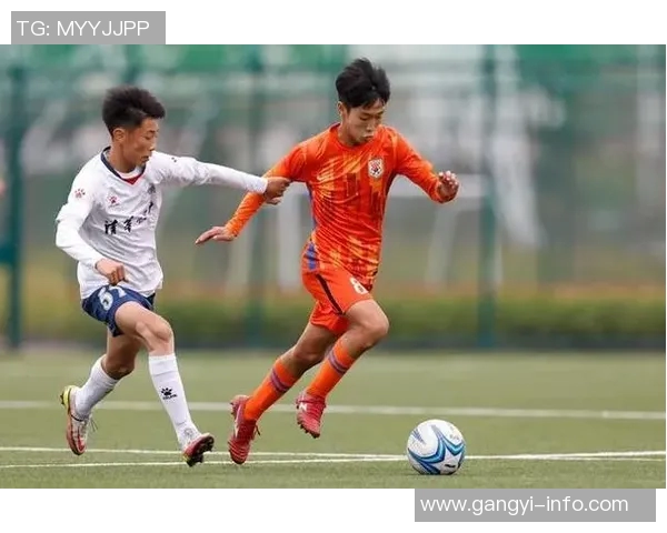 鲁能足球新篇章：重塑辉煌之路与未来展望